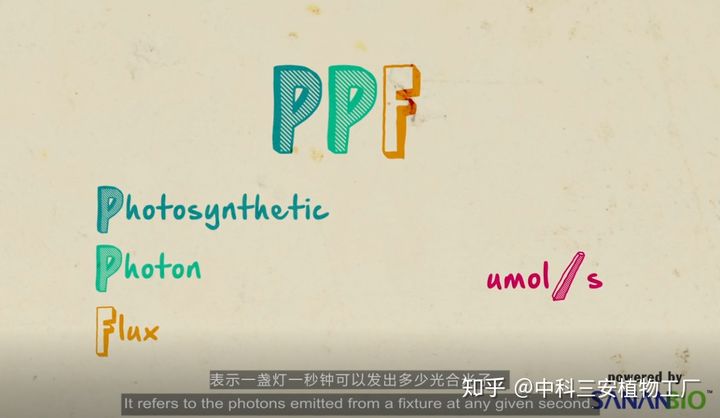 PPF