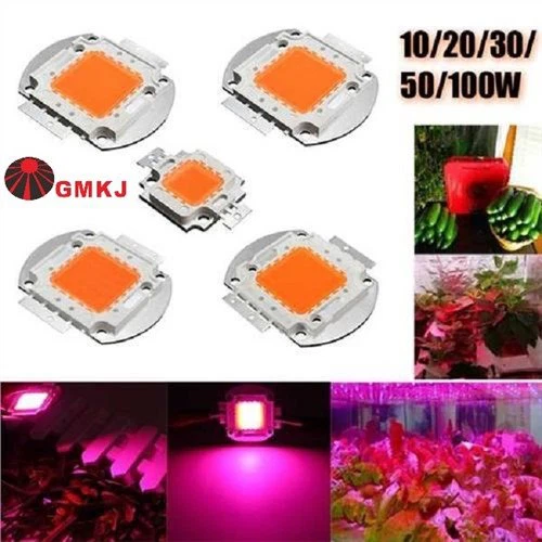 120W COB LED Full Spectrum cho ứng dụng làm vườn